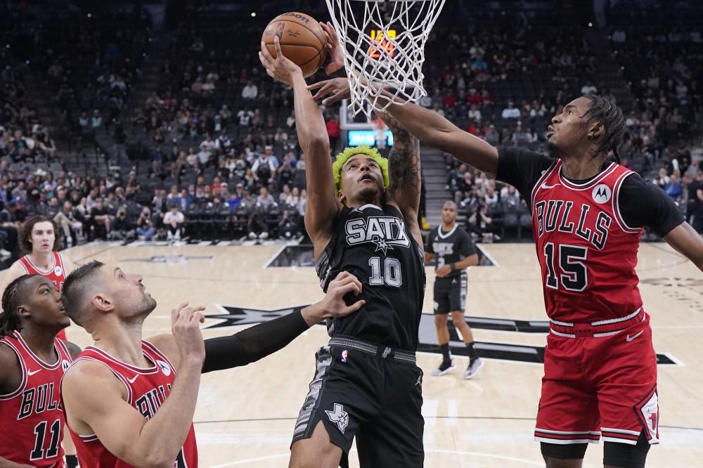 承担适应新 承担适应新